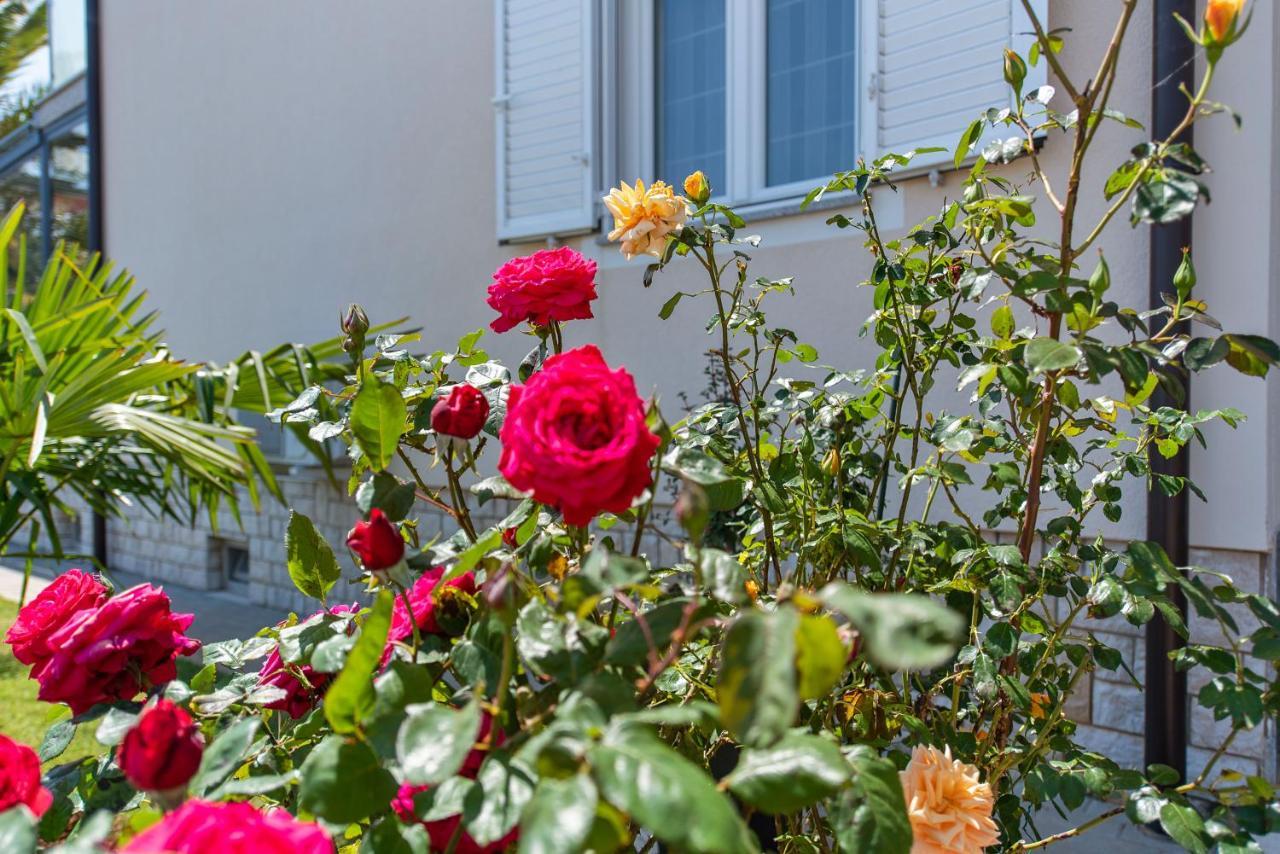 Summer House Appartement