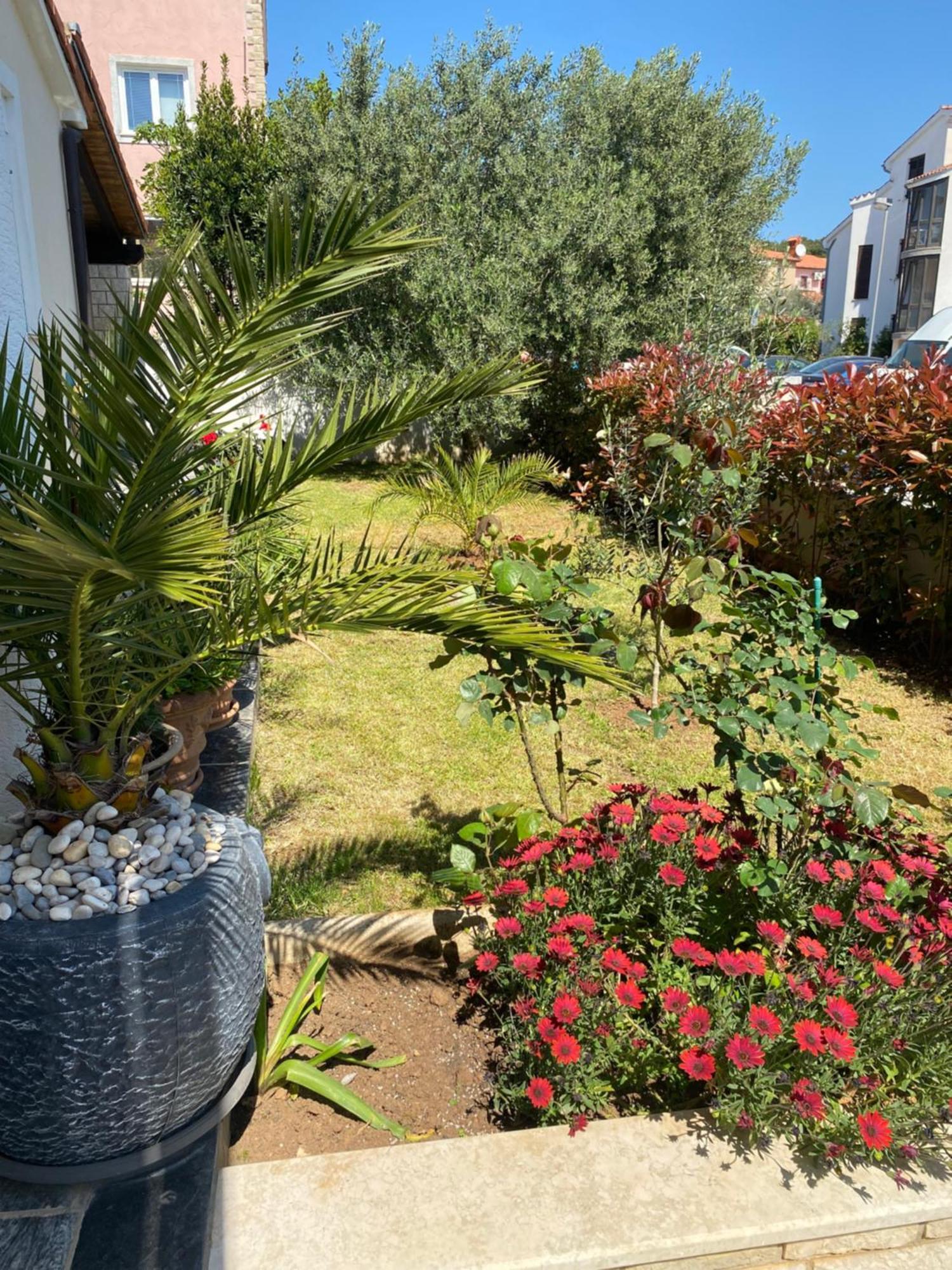 Summer House Apartment Pula